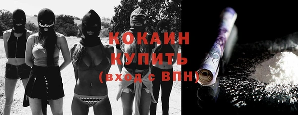 молекула духа Алексеевка