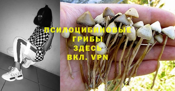 молекула духа Алексеевка
