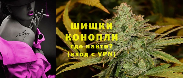 дмт Рославль