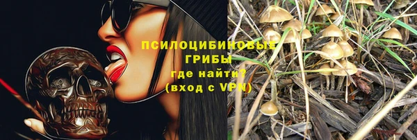 ALPHA PVP Алексин