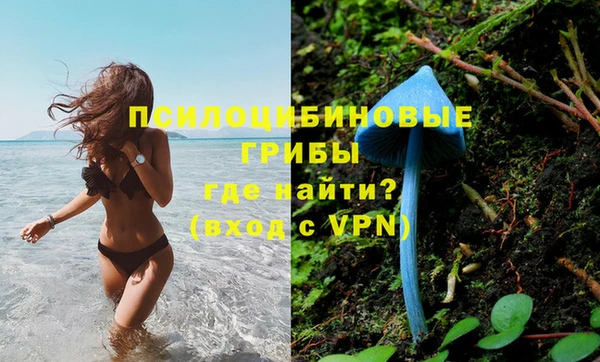МДПВ Алзамай