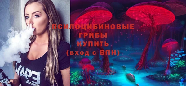 молекула духа Алексеевка